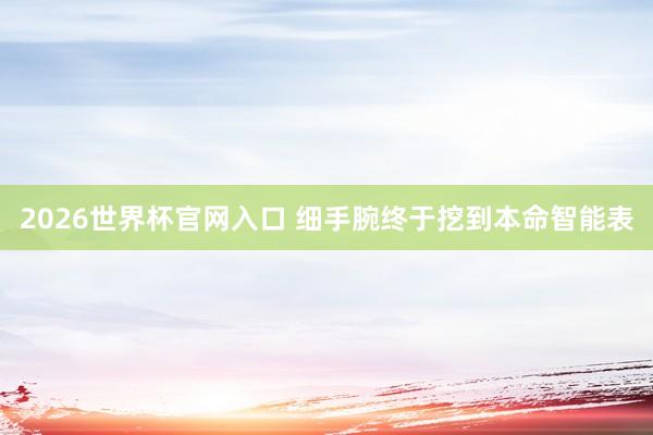 2026世界杯官网入口 细手腕终于挖到本命智能表