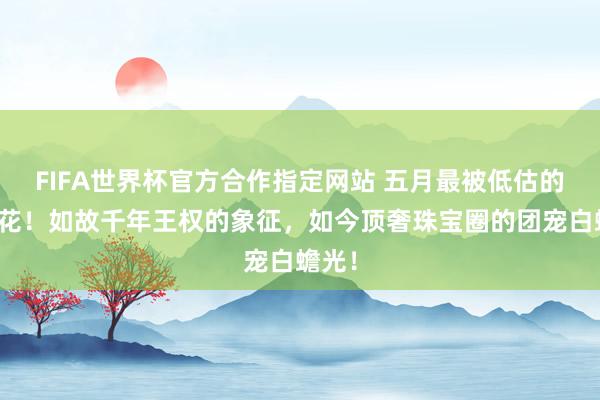 FIFA世界杯官方合作指定网站 五月最被低估的一种花！如故千年王权的象征，如今顶奢珠宝圈的团宠白蟾光！