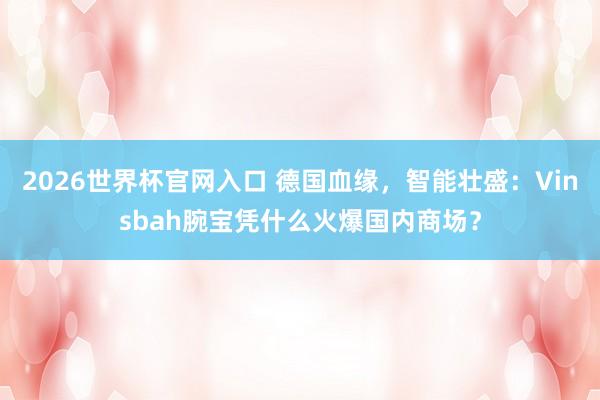 2026世界杯官网入口 德国血缘,智能壮盛:Vinsbah腕宝凭什么火爆国内商场?