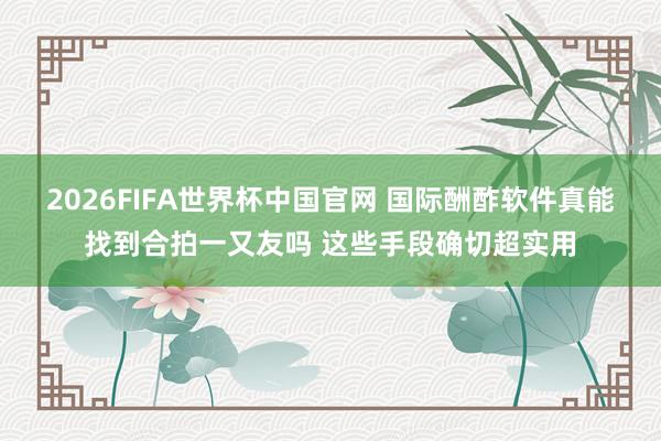 2026FIFA世界杯中国官网 国际酬酢软件真能找到合拍一又友吗 这些手段确切超实用