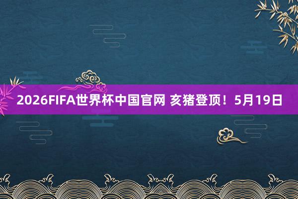 2026FIFA世界杯中国官网 亥猪登顶！5月19日