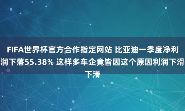FIFA世界杯官方合作指定网站 比亚迪一季度净利润下落55.38% 这样多车企竟皆因这个原因利润下滑