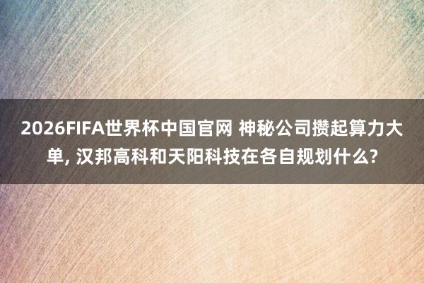 2026FIFA世界杯中国官网 神秘公司攒起算力大单， 汉邦高科和天阳科技在各自规划什么?