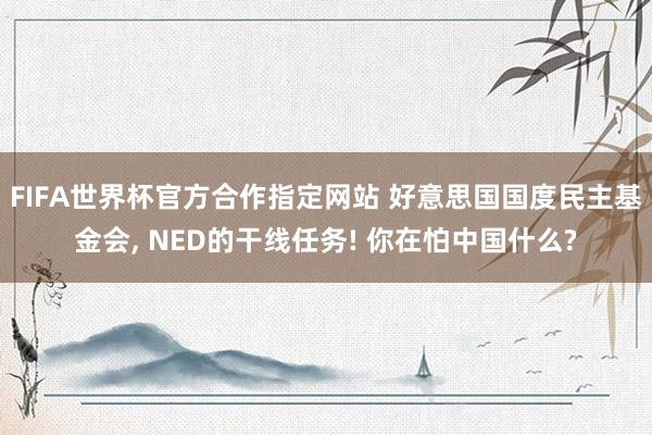 FIFA世界杯官方合作指定网站 好意思国国度民主基金会， NED的干线任务! 你在怕中国什么?