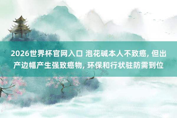 2026世界杯官网入口 泡花碱本人不致癌, 但出产边幅产生强致癌物, 环保和行状驻防需到位