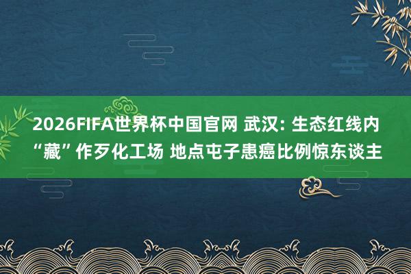 2026FIFA世界杯中国官网 武汉: 生态红线内“藏”作歹化工场 地点屯子患癌比例惊东谈主
