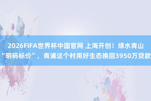 2026FIFA世界杯中国官网 上海开创！绿水青山“明码标价”，青浦这个村用好生态换回3950万贷款