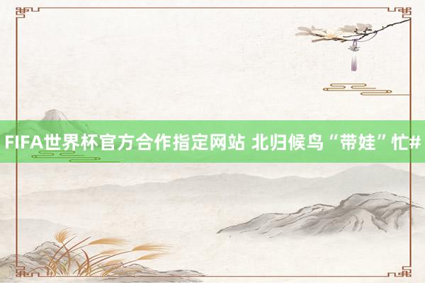 FIFA世界杯官方合作指定网站 北归候鸟“带娃”忙#