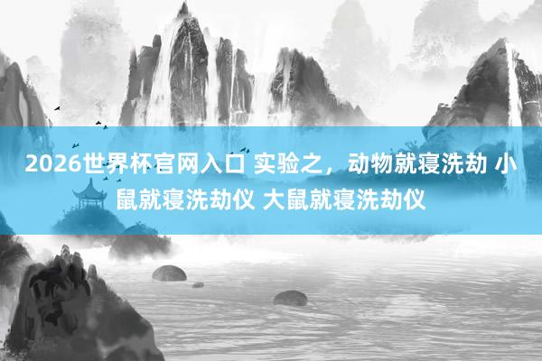 2026世界杯官网入口 实验之，动物就寝洗劫 小鼠就寝洗劫仪 大鼠就寝洗劫仪