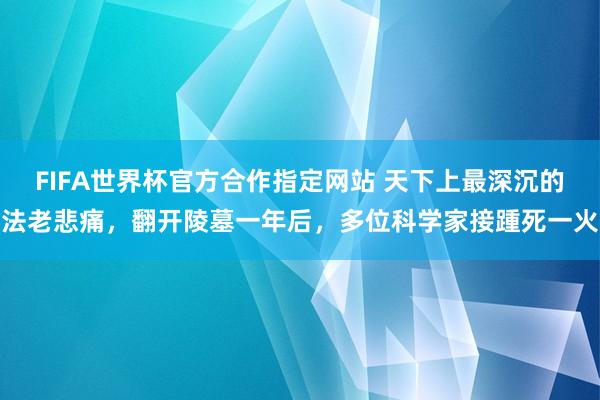 FIFA世界杯官方合作指定网站 天下上最深沉的法老悲痛，翻开陵墓一年后，多位科学家接踵死一火