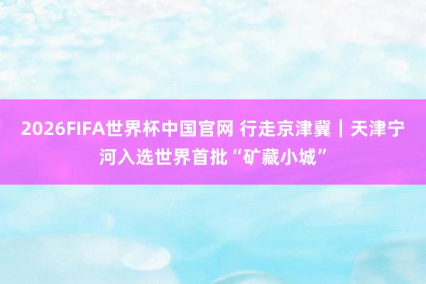 2026FIFA世界杯中国官网 行走京津冀｜天津宁河入选世界首批“矿藏小城”