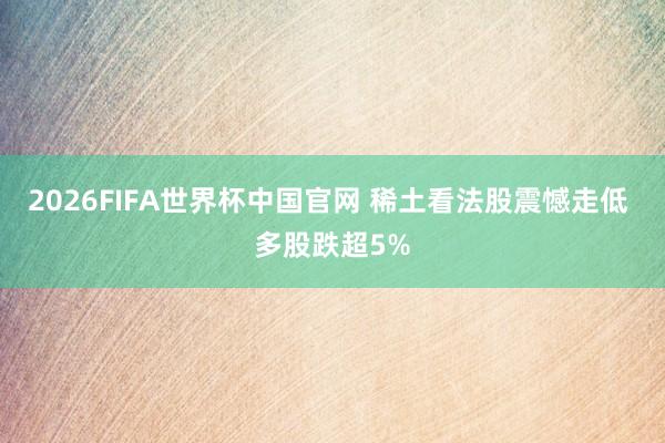 2026FIFA世界杯中国官网 稀土看法股震憾走低 多股跌超5%