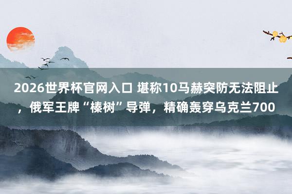 2026世界杯官网入口 堪称10马赫突防无法阻止,俄军王牌“榛树”导弹,精确轰穿乌克兰700