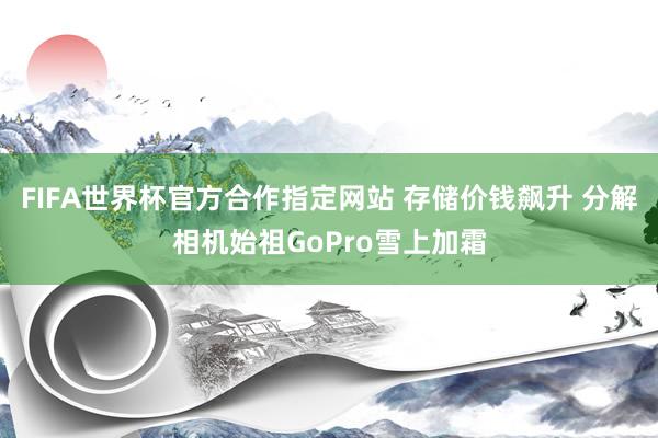FIFA世界杯官方合作指定网站 存储价钱飙升 分解相机始祖GoPro雪上加霜